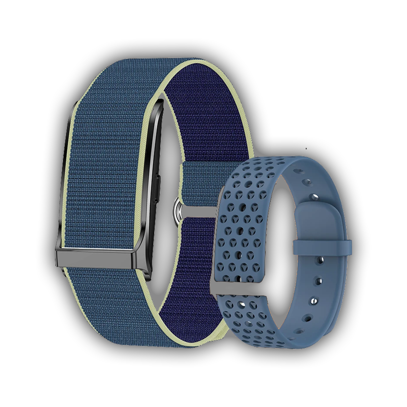 Pulse Band o1
