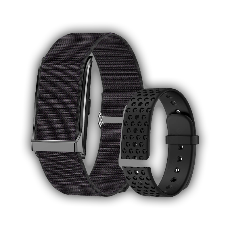 Pulse Band o1