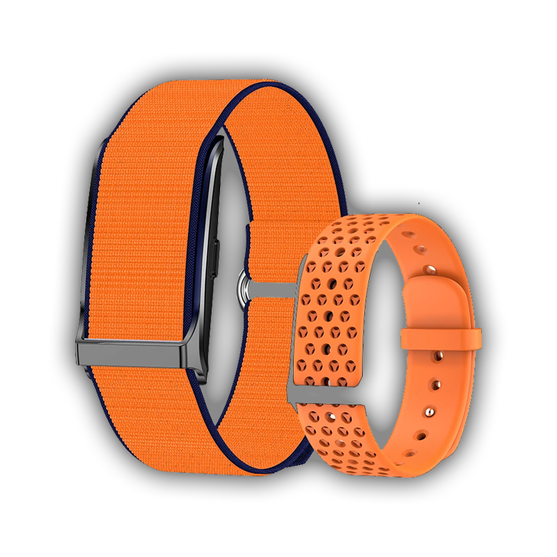 Pulse Band o1