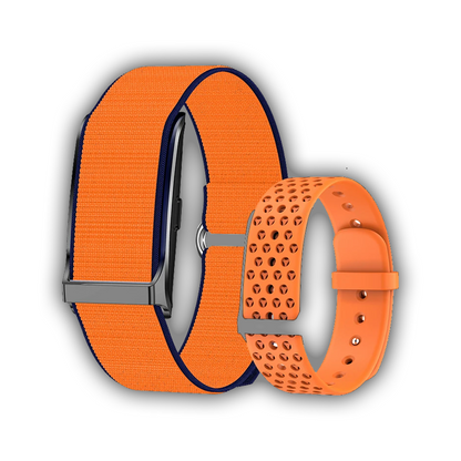 Pulse Band o1
